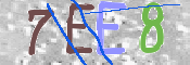 キャプチャ画像