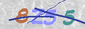 キャプチャ画像