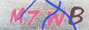キャプチャ画像