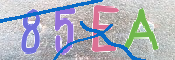 キャプチャ画像