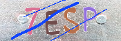 キャプチャ画像