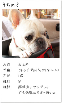 GUCCI グッチ キーホルダードッグチャーム グッチョリ
